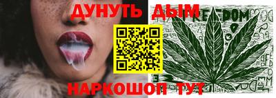 крисы Краснознаменск