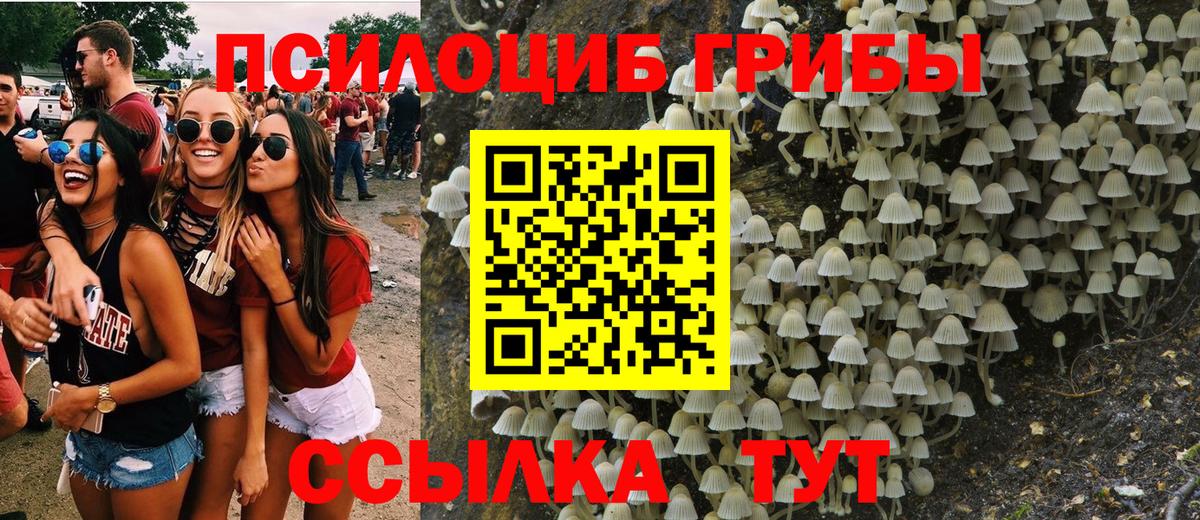 Псилоцибиновые грибы MAGIC MUSHROOMS  Вход с VPN  Ковров 